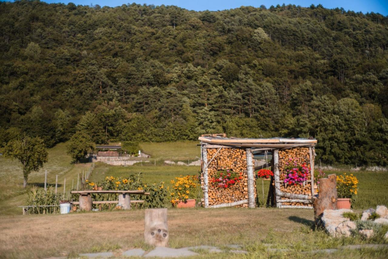 B&B Nonno Carlo Trento Exteriér fotografie