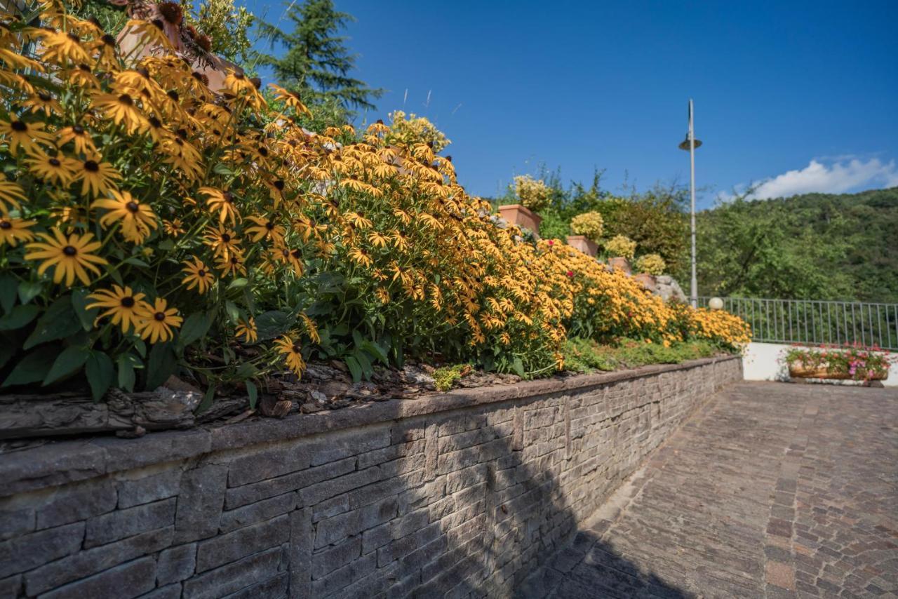 B&B Nonno Carlo Trento Exteriér fotografie