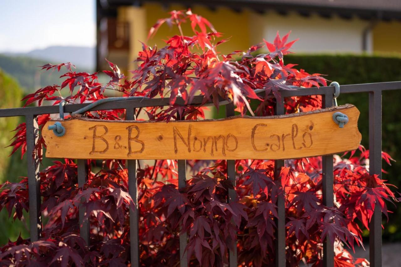 B&B Nonno Carlo Trento Exteriér fotografie