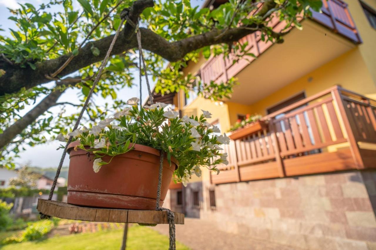 B&B Nonno Carlo Trento Exteriér fotografie
